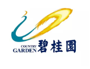 河南碧桂园地产